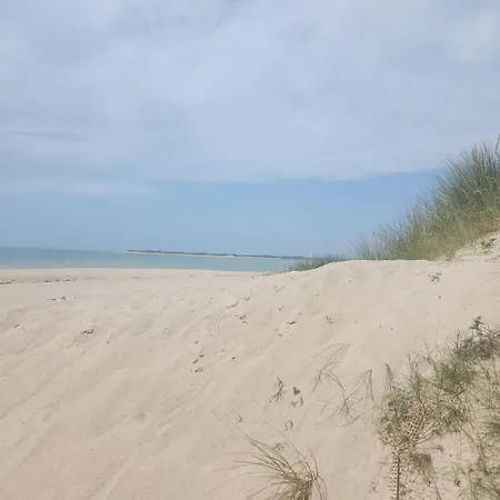L'incontournable 3 Etoiles - Normandie - - Cosy - Animaux Ok Holiday home Lessay